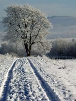 2009_0109_Uslar_im_Winter0123
