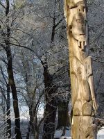 2009_0109_Uslar_im_Winter0182