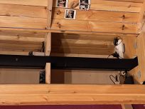 Schrank_03