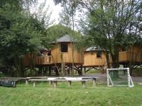 DSC00006