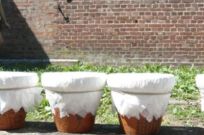 P1070347_0